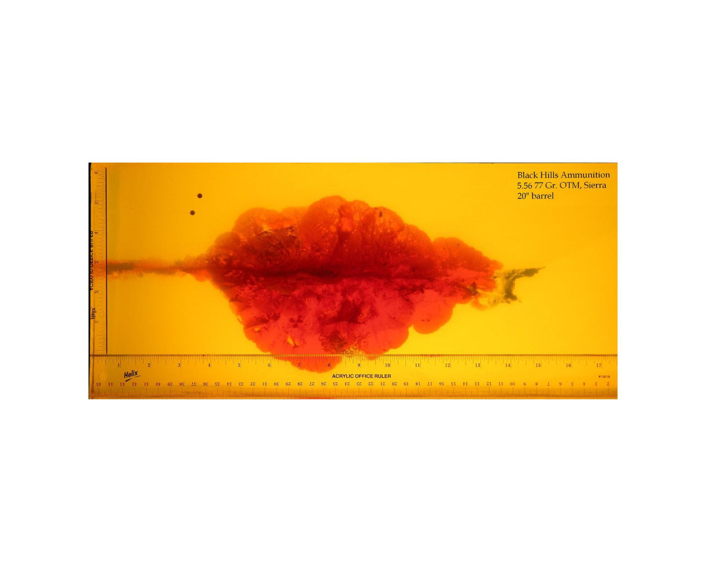 Photo of gel test results Black Hills Sierra MatchKing OTM 5.56 77GR from a 20” barrel on BoneFrogGunClub.com
