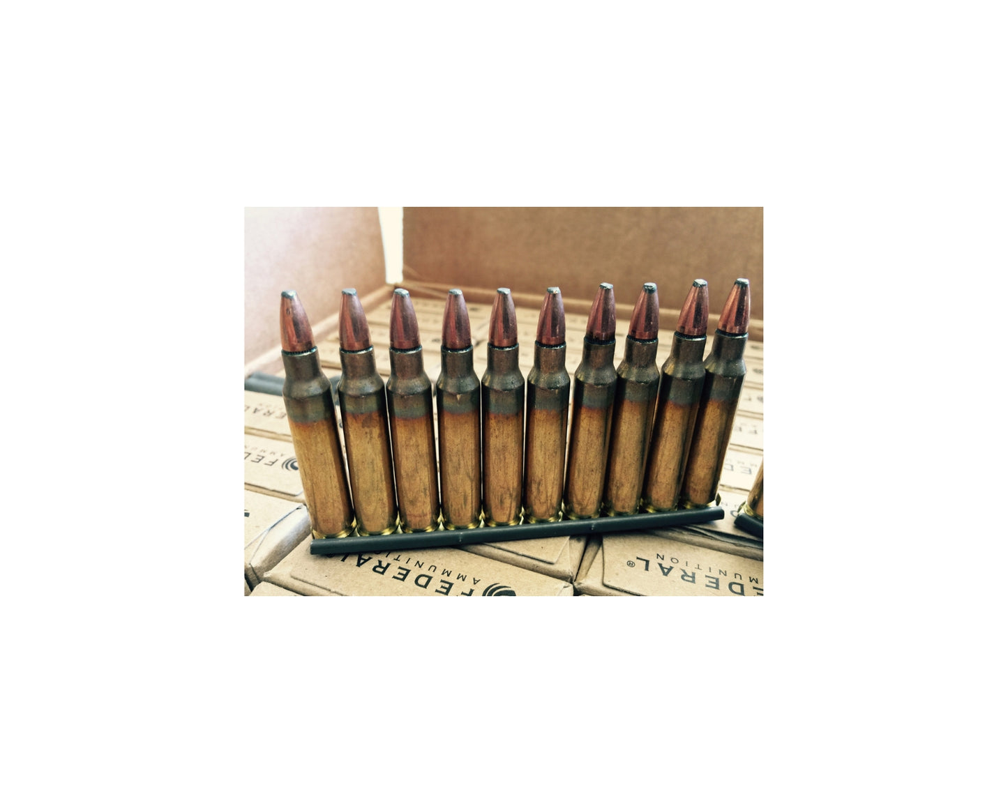 5.56 62GR Federal Tactical Bonded (XM556SBCT3)