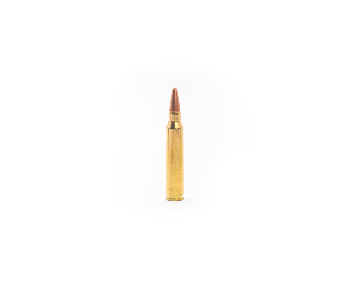 5.56 62GR Bone Frog Ammunition™ Solid Copper Hollow Point (SCHP) sku-B556SC62 exclusively online at Bone Frog Gun Club