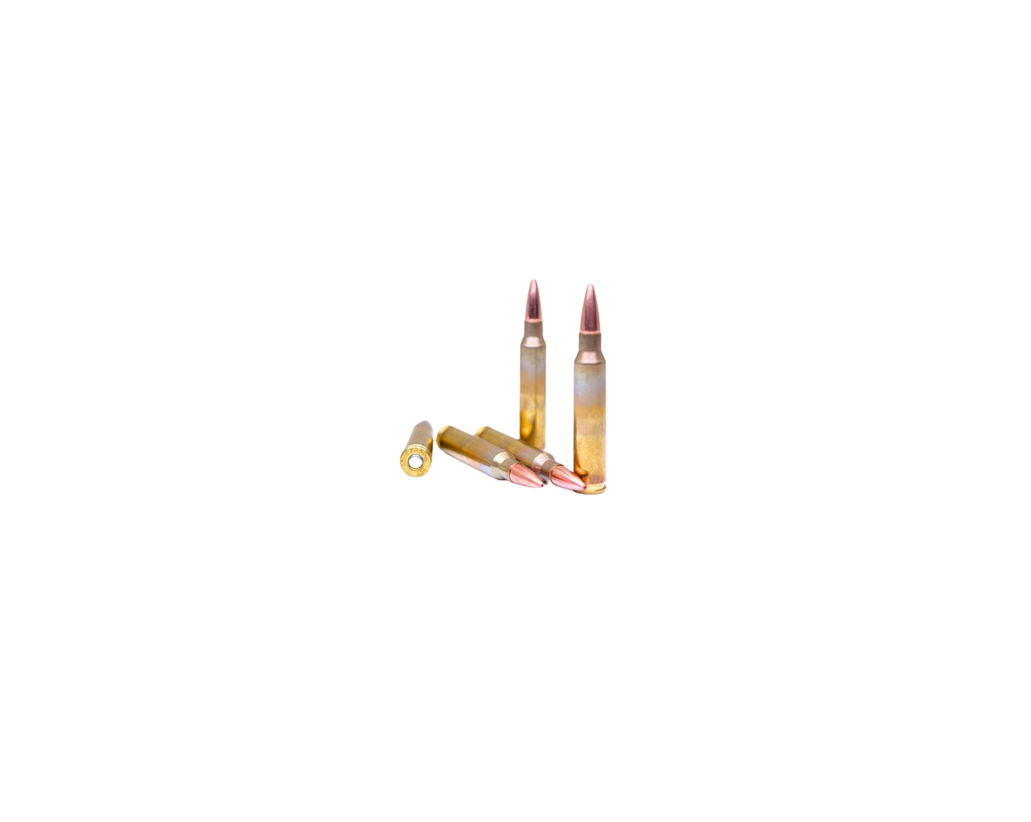 Picture of multiple rounds of 5.56 70GR Bone Frog Ammunition™ Barnes TSX (TSX BT) (B556TSX70) at Bone Frog Ammunition