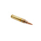 Picture of a bullet of 5.56 55GR PMC FMJ-BT (556X) at Bone Frog Ammunition
