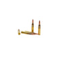 Picture of five bullets of 5.56 62GR Black Hills Barnes TSX BT (D556N18) at Bone Frog Ammunition