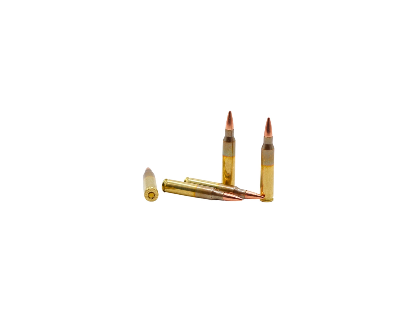 Picture of five bullets of 5.56 62GR Black Hills Barnes TSX BT (D556N18) at Bone Frog Ammunition