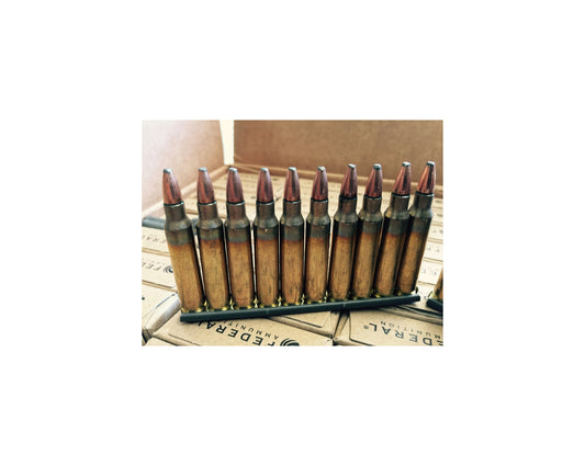 5.56 62GR Federal Tactical Bonded (XM556SBCT3)