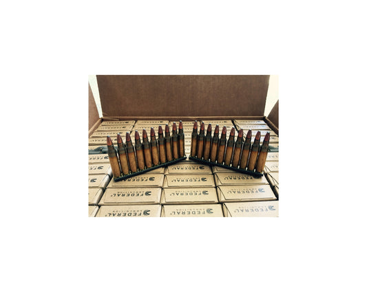 5.56 62GR Federal Tactical Bonded (XM556SBCT3)