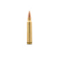 5.56 62GR Bone Frog Ammunition™ FMJ-BT (B556FMJ62)