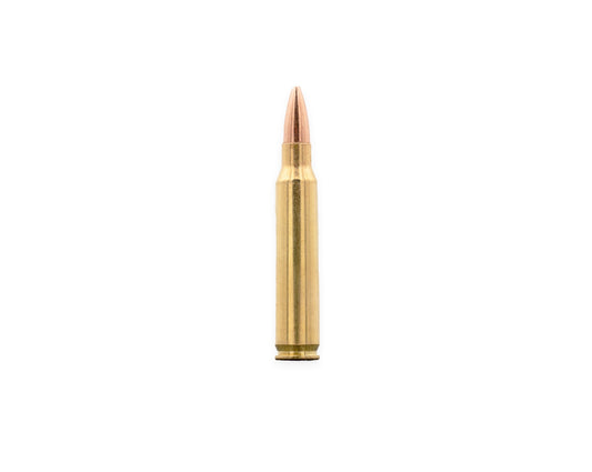 5.56 62GR Bone Frog Ammunition™ FMJ-BT (B556FMJ62)