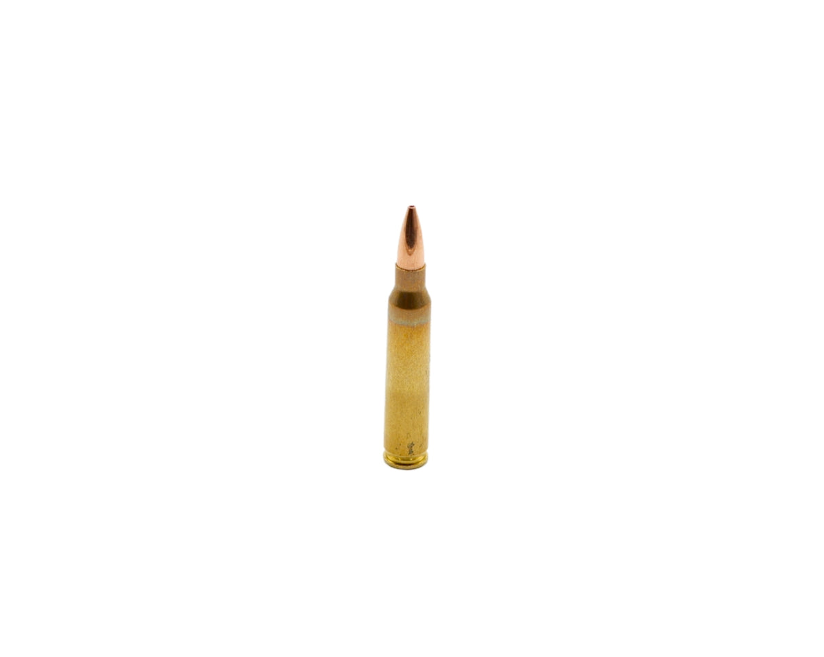 5.56 85GR Bone Frog Ammunition® Barnes Match Burner OTM BT (B556BMB85)