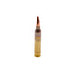 Picture of a round of 5.56 77GR Black Hills Open Tip Match (D556N9) at Bone Frog Ammunition
