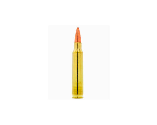 Picture of 5.56 70GR Federal Tactical Barnes TSX (TSX BT) (LE556TSX) at Bone Frog Ammunition 